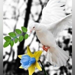 🙏Share🧡Like❤️Follow🤗